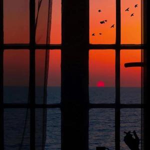 搞基高清无码视频
